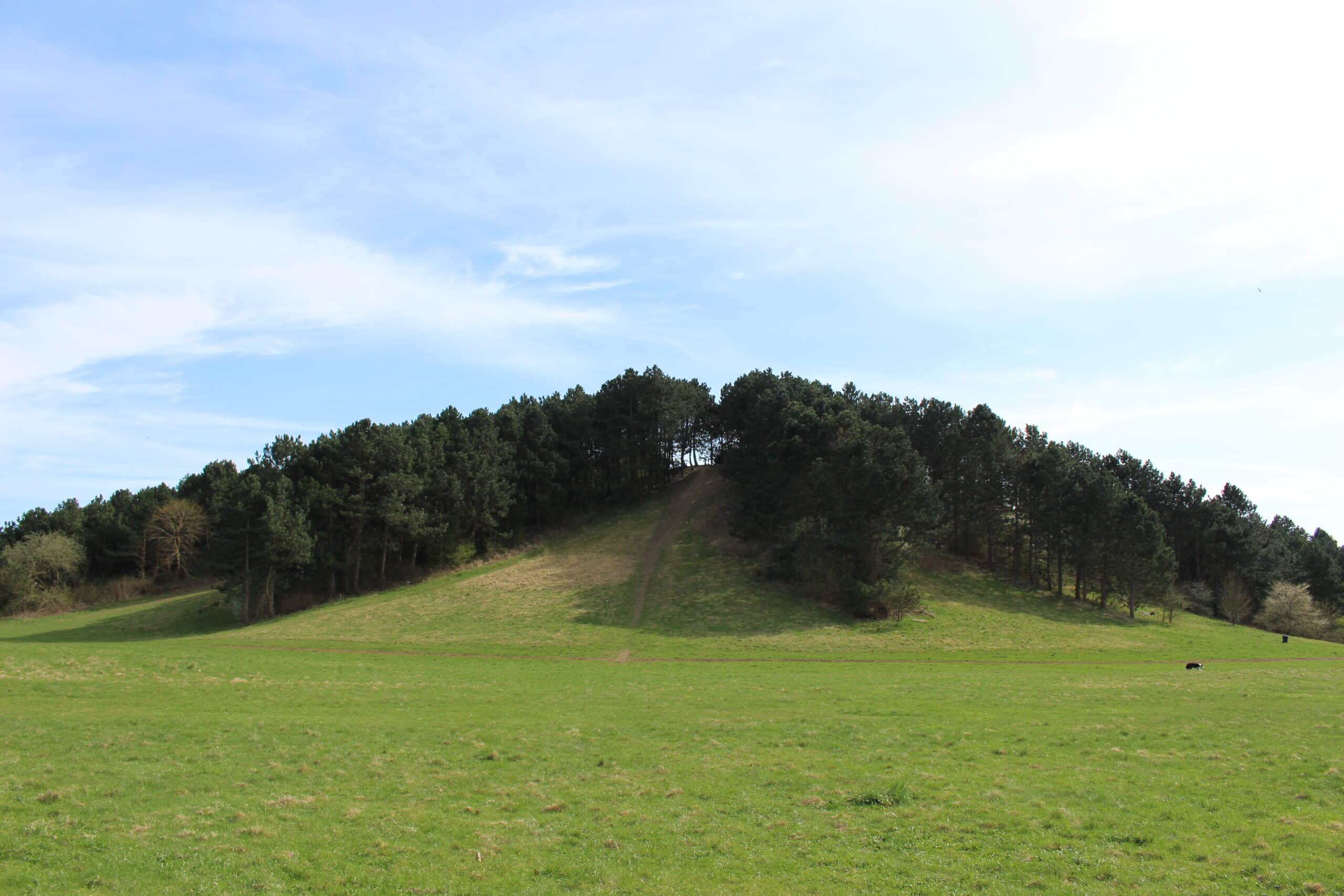 Hoeghsbjerget i Albertslund scaled